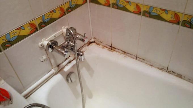 Mucegai în baie ca atribut al multor apartamente | ZikZak 
