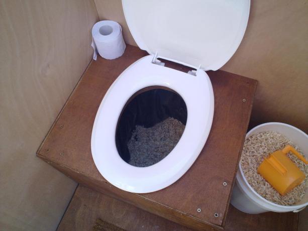 Pe o astfel de toaletă în țară eu pot doar să viseze | Gradinarit si Horticultură