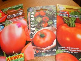 Prima recoltă de tomate - începe cu ce note?