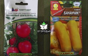 Soiuri de căsătorie și hibrizi de tomate