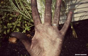 Mâinile Ochischayaem după grădină