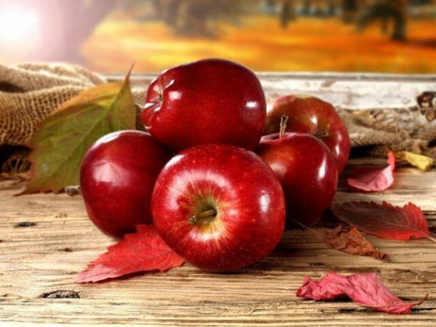 Care sunt beneficiile merelor și pot dăuna organismului?
