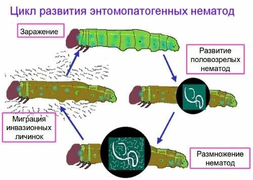 Sursa: 