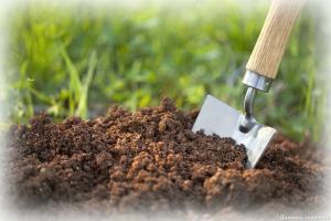 Cum de a verifica aciditatea solului
