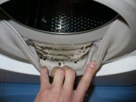 Cum pentru a elimina mirosul de mucegai din mașina de spălat