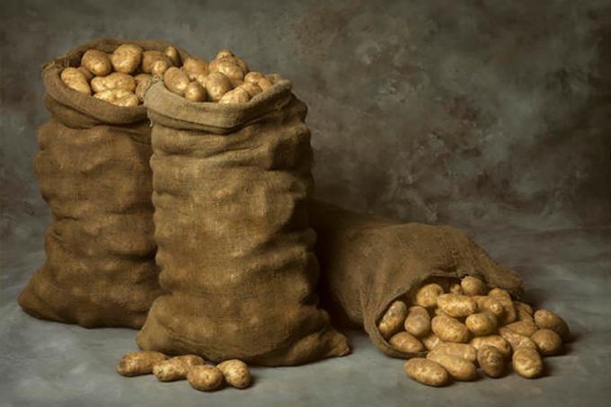 Depozitarea cartofilor în timpul iernii în saci - mare, dar nu și singura cale!