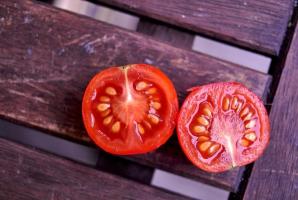 Cum de a alege o semințe de tomate cu înțelepciune