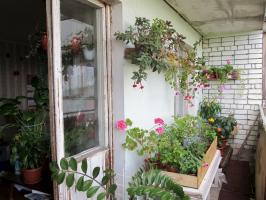 Cum de a dota o grădină de iarnă pe balcon