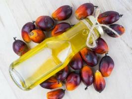 Care sunt calitățile benefice și dăunătoare ale uleiului de palmier?