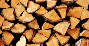 Ce lemn mai bine pentru a încălzi cuptorul?