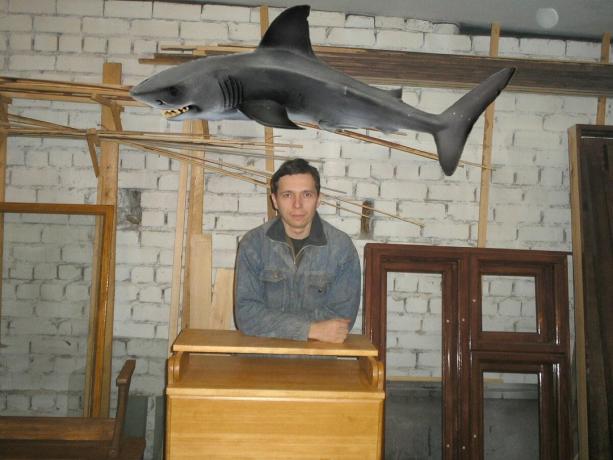 Shark este preluat de la serviciul Yandex-imagini