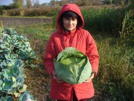 5 lucruri importante de făcut în grădină, în octombrie, pentru o recoltă bogată în 2019