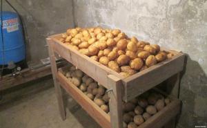 Cum se păstrează cartofii în apartament și casa