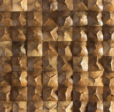 Mozaic din învelișul exterior al unei nucă de cocos, foto - lative-oboi.ru
