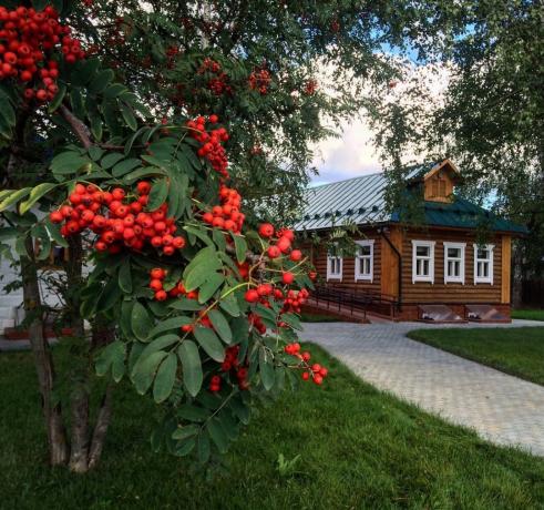 Rowan - un ornament tradițional de sate rusești! (Fotografie din playcast.ru)