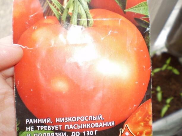 Varietatea de tomate „alb de umplere 241 '
