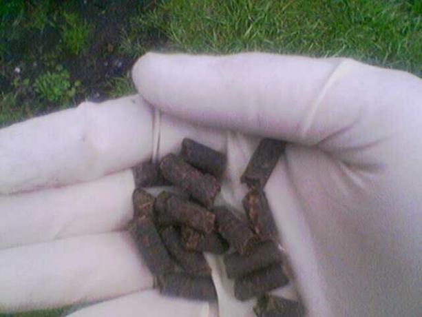 gunoi de grajd de pui sub formă de granule uscate