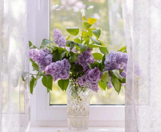 Charming buchet de liliac. Vezi: 