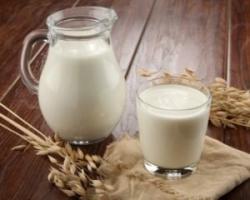 Lapte de capră: proprietăți utile și contraindicații
